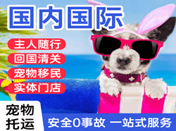 昆冈机场邮寄国际宠物托运 【国